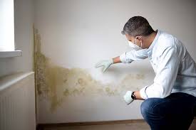 Trusted Robstown, TX Mold Prevention & Removal  Experts